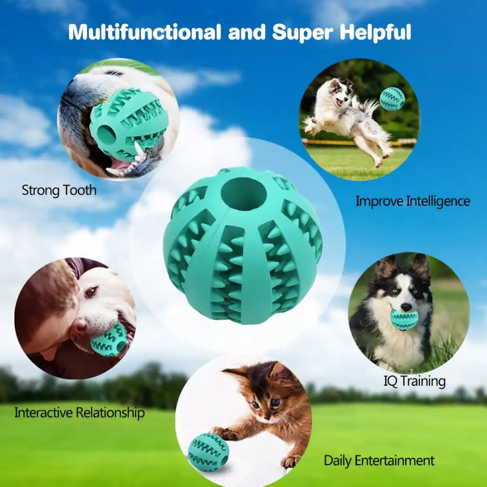 Leckerli-Ball für Katzen und Hunde