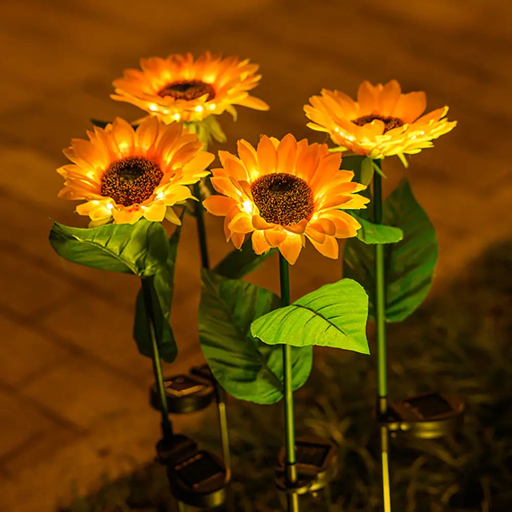 Sonnenblumen Solar Rasenlicht