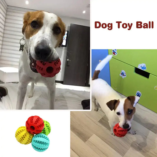Leckerli-Ball für Katzen und Hunde