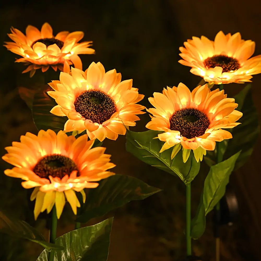 Sonnenblumen Solar Rasenlicht